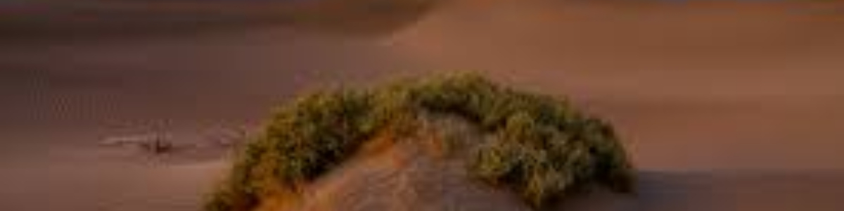 #$%^&*&^%$#$%^&*()(*&^%$#$%^&*(*&^%$#$%^&(*&^${\0} header